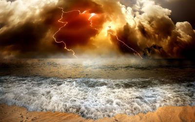 Pinch and Zoom Spells Doom: Google’s New Mobile Friendly Website Standards