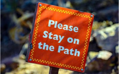 Beginner’s Guide to Guest Posting for Greater Credibility and More Traffic