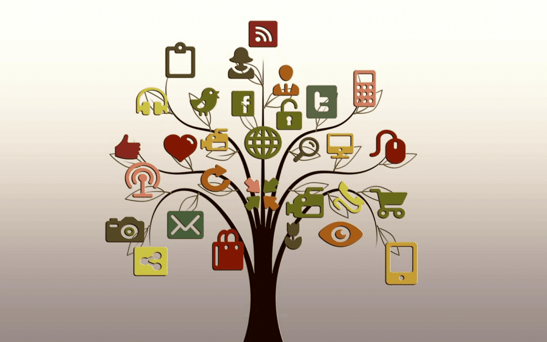 7 Daily Habits to Grow Your Social Media Audience (Without Burning Out)